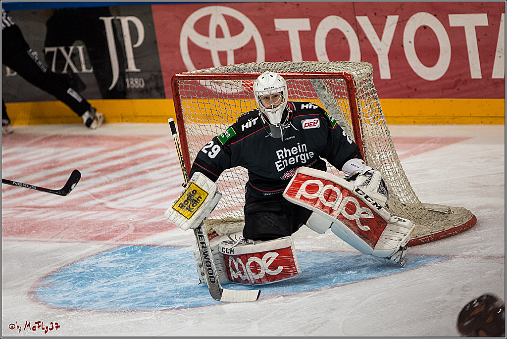 DEL, Koelner Haie - Grizzlys Wolfsburg, 21.02.2017